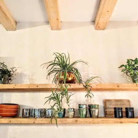 Agapanto Pacengo Di Lazise