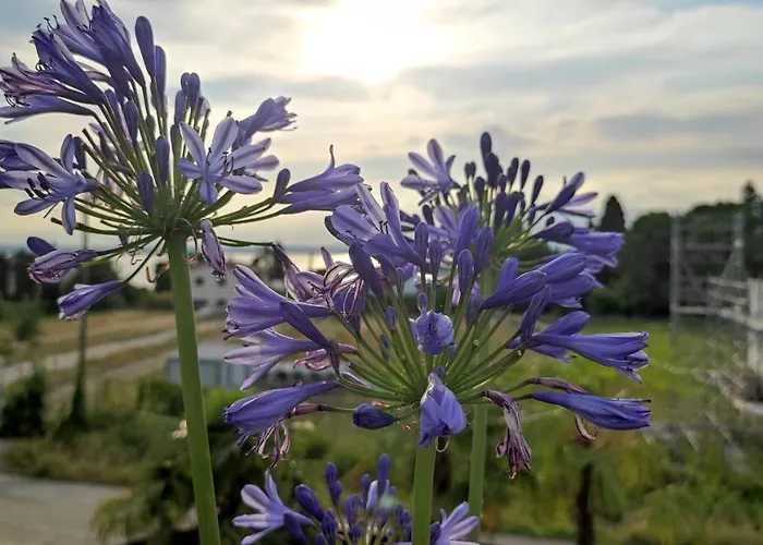 Villa Agapanto Pacengo Di Lazise